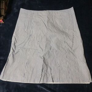 Talbots blue and white striped skirt size 12